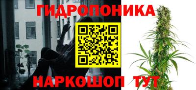 стафф Тверь