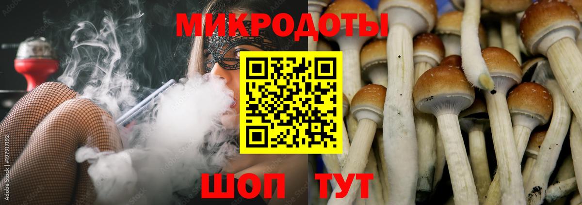 Галлюциногенные грибы прущие грибы  Вход с VPN  Галлюциногенные грибы прущие грибы  закладка  Приморско-Ахтарск 