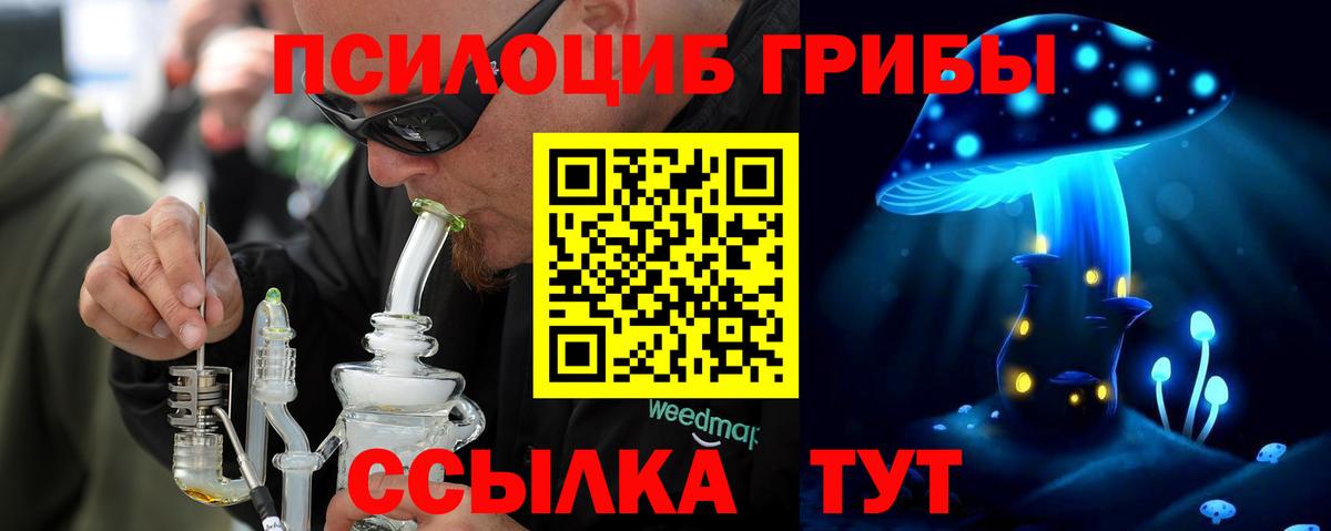 Псилоцибиновые грибы мицелий Приморско-Ахтарск